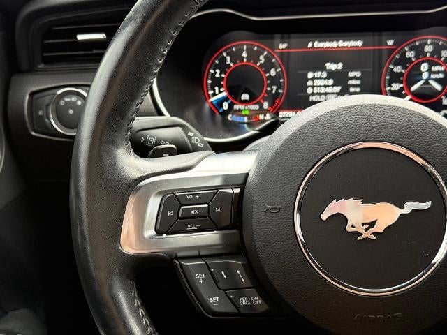 2019 Ford Mustang GT Premium Fastback