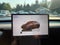 2024 Tesla Model Y Long Range AWD