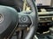 2024 Toyota RAV4 Hybrid SE AWD (Natl)