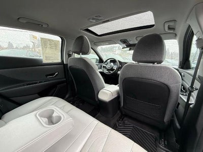 2023 Hyundai ELANTRA Hybrid Limited DCT