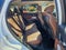 2019 Acura RDX AWD w/Technology Pkg