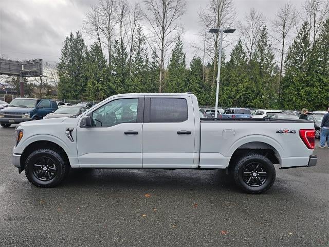 2023 Ford F-150 XLT 4WD SuperCrew 5.5' Box